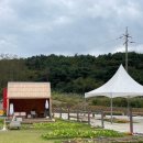 드몽 | [공지] 경주 천북 핫플카페에서 키즈클래스 체험공간으로 변신한 &lt;선셋드몽&gt; 방문후기