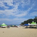 망상파크 | 강원도 동해 바다 망상해수욕장 축제 페스티벌 버스킹