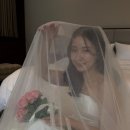 마이데이 | [대전 도안동] 대전메이크업 마이데이 솔직후기 / 웨딩촬영 본식 드레스투어 돌잔치 메이크업