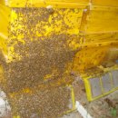 호운농장 이미지