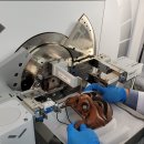 안동오리 이미지