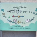 씨엔밤부 네이버블로그
