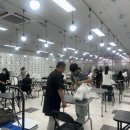 논산애견미용학원 이미지