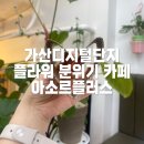 아소르플러스