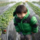 원덕농장 이미지