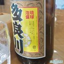 OK클럽 | 26년 3월 미야코지마 ok마린클럽 펀다이빙 1일차 후기