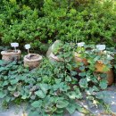 조내기고구마 역사공원 이미지