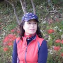 용천사입구 이미지