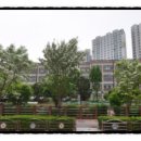 동대부속유치원 이미지