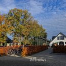 성공농장 이미지