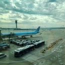 457 | KE457 인천-다낭 비행편 후기