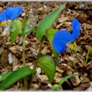 웃음을 잃지 마세요 이미지