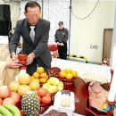 풍년유통 뉴시스