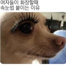 온리원(only one) | [영등포구청 속눈썹] 글루 알러지 눈 시림 끝! 온리원뷰티 LED 연장으로 자극 없이 예뻐진 후기