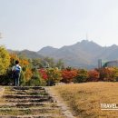 서울대학교 이미지