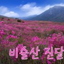 제 33차 테마산행 이미지