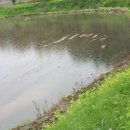 호코농장 이미지