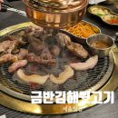 금반 | [세종] 도담동 뒷마카세 금반김해뒷고기 내돈내산 후기