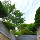 보리마당 골목길 이미지