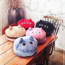 소라캣 이미지