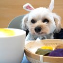 삐약네 새참 이미지