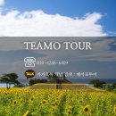 떼아모 이미지
