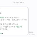 손이빛나리 이미지