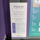 미디어아트<오로라를 | [3] 인스파이어 리조트 미디어 아트 쇼 오로라 관람 후기와 주차 팁