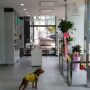 천호동물병원 이미지