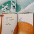 라라랜드 | [창작동화]도레미곰vs 뉴라라랜드 주관적 후기_비교, 구매팁!