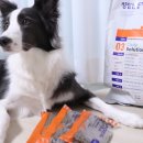 메디코코(주) | 메디코펫 강아지저알러지 사료, 데일리솔루션 사료 지아이 03