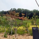 반남박씨박원도묘 이미지