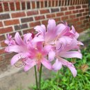 사임당공원 이미지