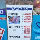 양지선어