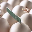 맛있는나라 이미지