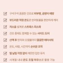 못말리는 고양이 | 디클펫 펫드라이룸 고양이 예민한 냥이도 잘 쓰는 털말리기 후기