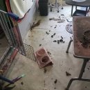 민서농장 이미지