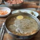 야콘냉면본가집 | 김포장릉맛집 함흥본가 물냉면 회냉면 맛있는 냉면집