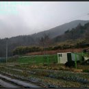 웅천읍두룡1리마을회관 이미지