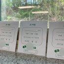 명덕여자중학교 | 시로 소통하고 시로 연결되는 우리 | 시 처방 수업 후기