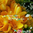 시문 이미지