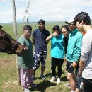 이동가축병원 이미지