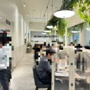 향동1로 400m | 브런치빈 목동점 메뉴추천 내돈내산후기