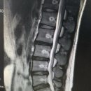 바디공간 이미지