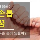 손톱꿈 해몽 손톱빠지는꿈 부러지는꿈 이미지