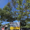 스톤하우스 | (용인맛집)용인 고기리 계곡 백숙맛집 고기동 스톤하우스 가든🐔🍗 내돈내산 후기