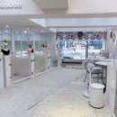 봉봉애견 이미지