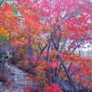 선녀탕집 이미지