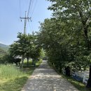 농도원목장 | 아이랑 갈만한 곳 목장체험 종합선물세트! 농도원목장 후기