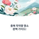 희망공원사거리 평화공원 앞 | 충북 작약꽃 추천 명소 위치, 교통편, 개화시기 총정리!
